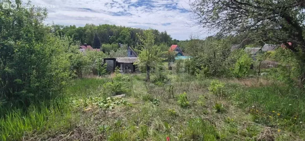 Участок в Семилуки, микрорайон Южный, Земская улица (10 м) - Фото 1