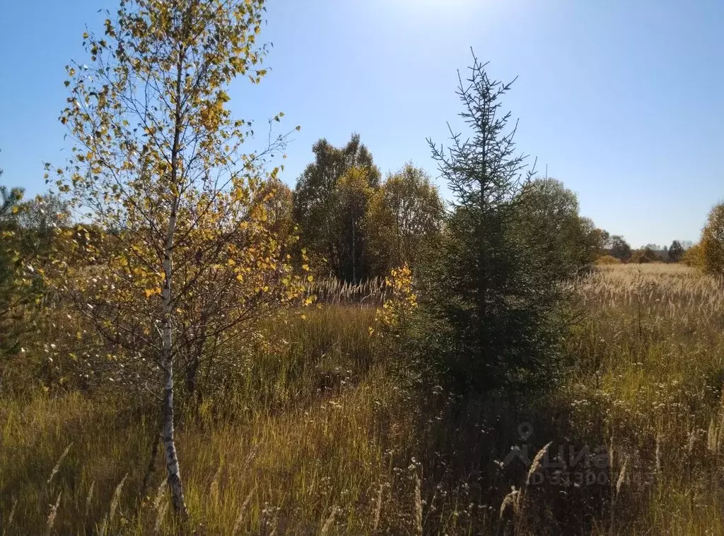 Участок в Московская область, Наро-Фоминский городской округ, д. ... - Фото 1