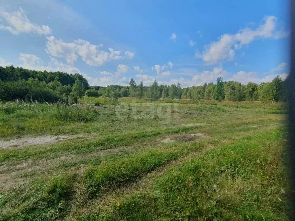 Участок в Тюменская область, Тюменский муниципальный округ, Нива СНТ ... - Фото 1