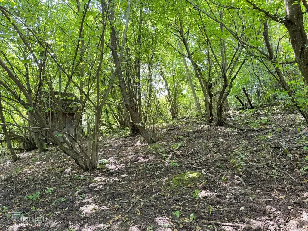 Участок в Кабардино-Балкария, Нальчик городской округ, с. Белая Речка ... - Фото 2