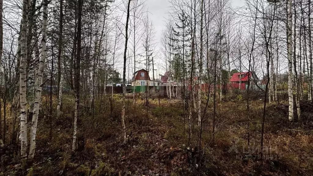 Участок в Архангельская область, Приморский муниципальный округ, ... - Фото 2