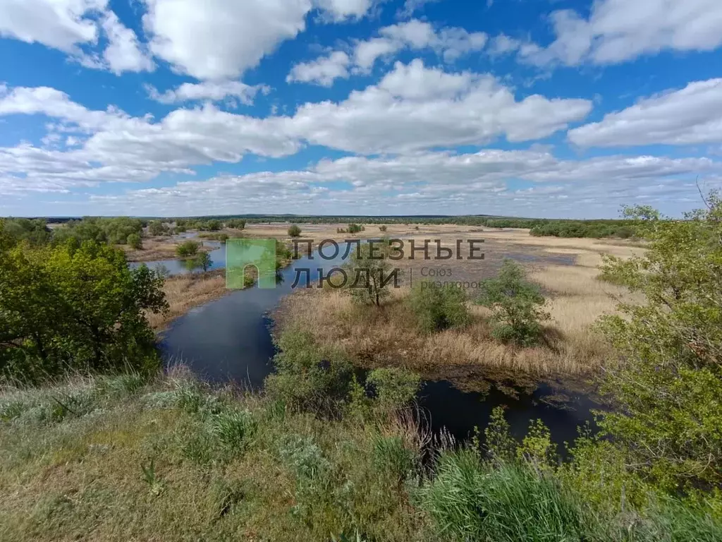 Дом в Саратовская область, Воскресенский район, Елшанское ... - Фото 0