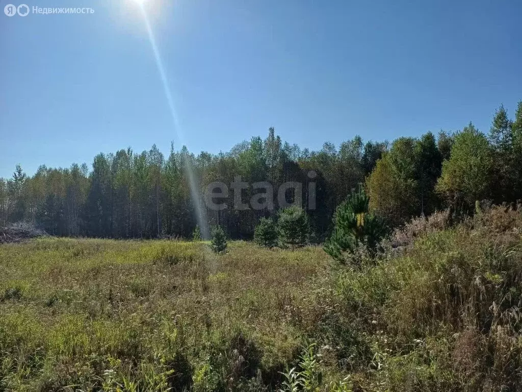 Участок в Тюменская область, Нижнетавдинский муниципальный округ, ... - Фото 2