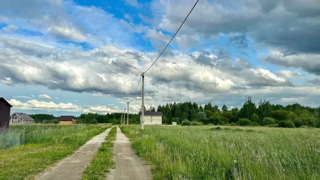 Участок в Ярославская область, Ярославский муниципальный округ, д. ... - Фото 1