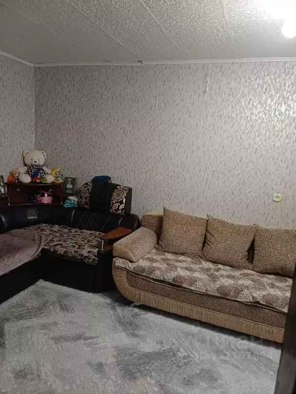 1-к кв. Омская область, Омск пос. Амурский, ул. Багратиона, 29 (30.9 ... - Фото 1