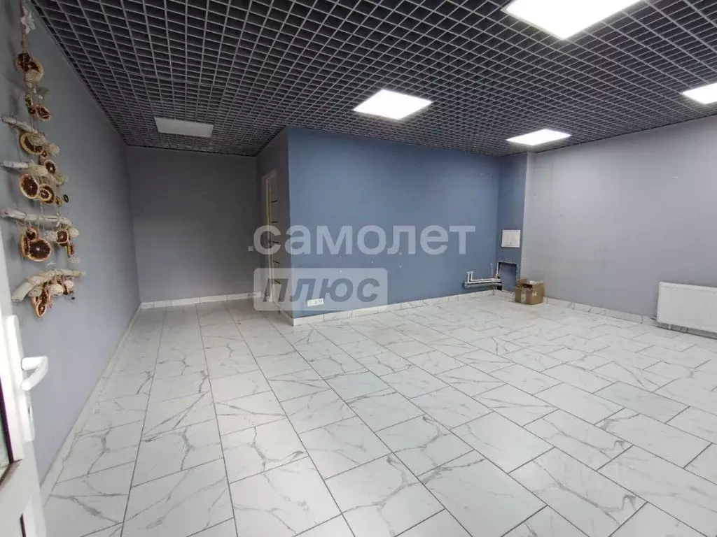 Офис в Псковская область, Псков Юбилейная ул., 41 (26 м) - Фото 0