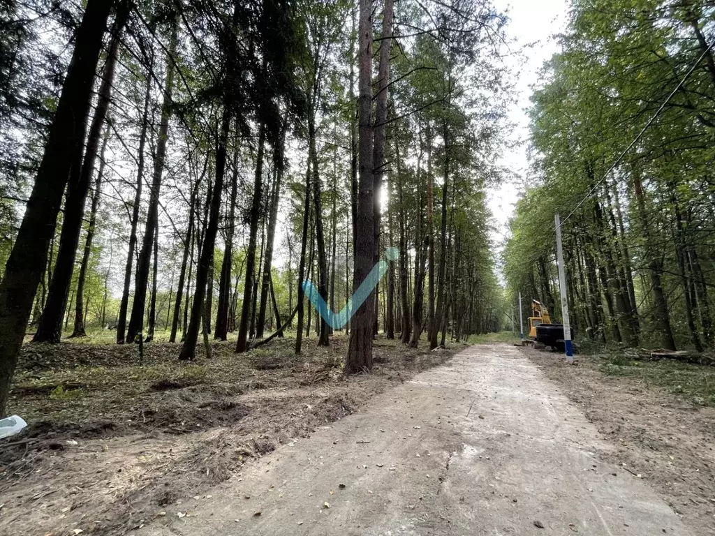 Участок в Московская область, Чехов городской округ, д. Прохорово ул. ... - Фото 0