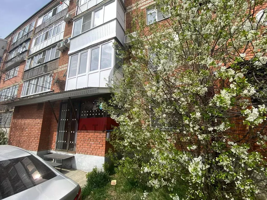 4-к кв. Краснодарский край, Апшеронск Профсоюзная ул. (91.1 м) - Фото 1