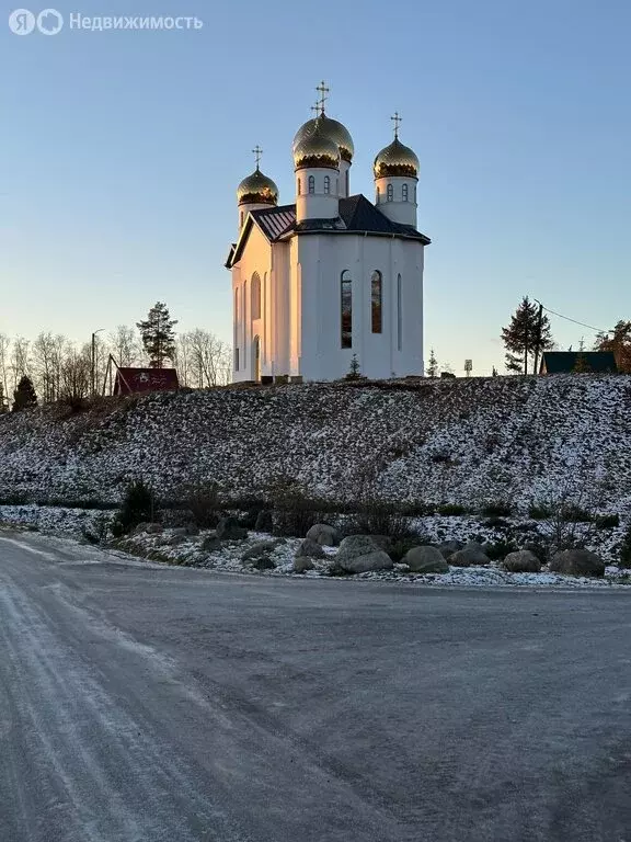 Участок в Токсовское городское поселение, СНТ Новое Токсово (10 м) - Фото 0