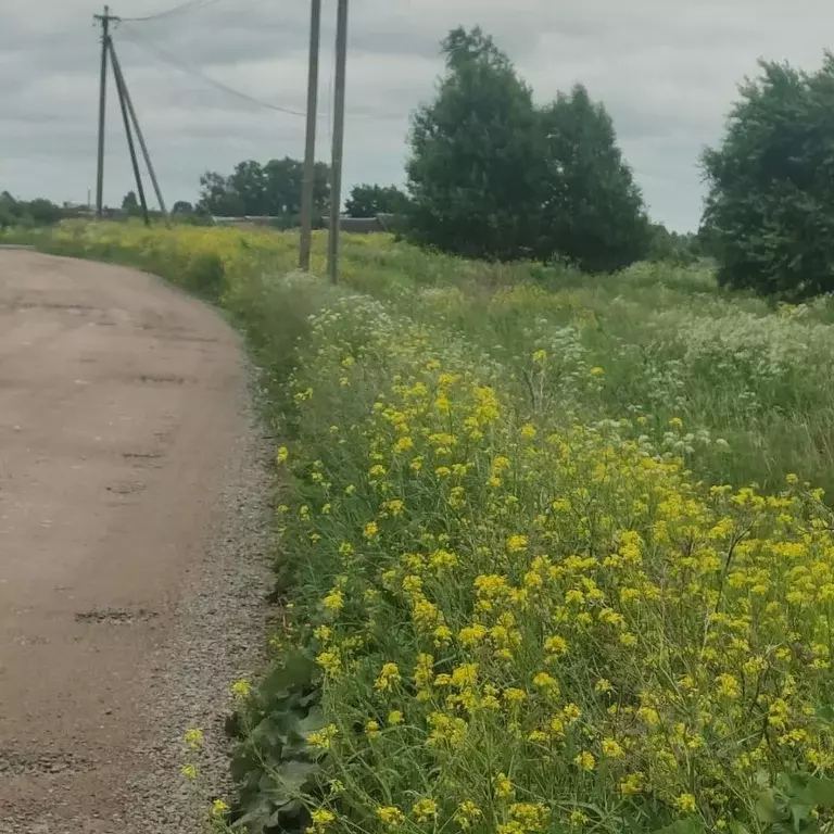 Участок в Ленинградская область, Гатчинский муниципальный округ, д. ... - Фото 2