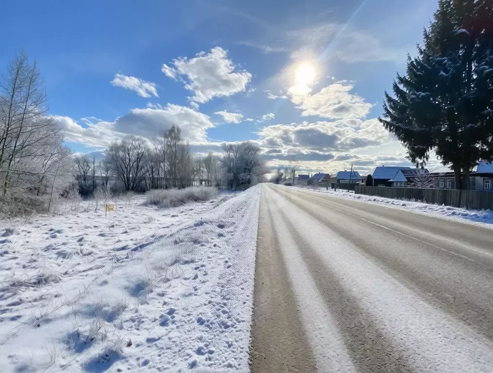Участок в Ярославская область, Некрасовский муниципальный округ, д. ... - Фото 1