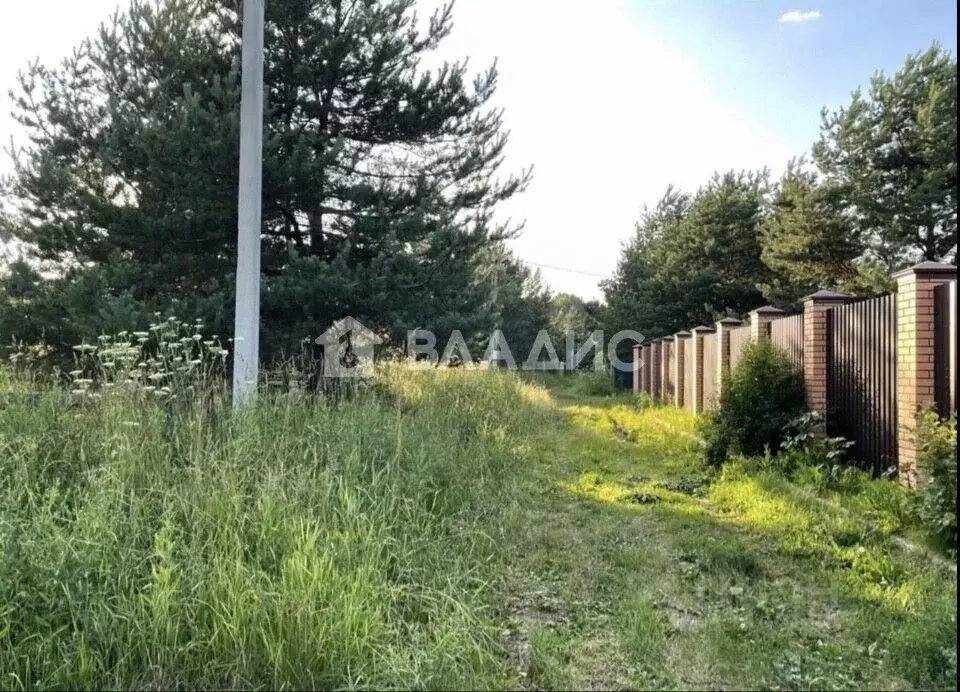 Участок в Калужская область, Дзержинский муниципальный округ, с. Учхоз ... - Фото 2