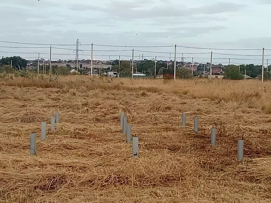 Участок в Краснодарский край, Темрюк ул. Угловая (7.5 сот.) - Фото 0