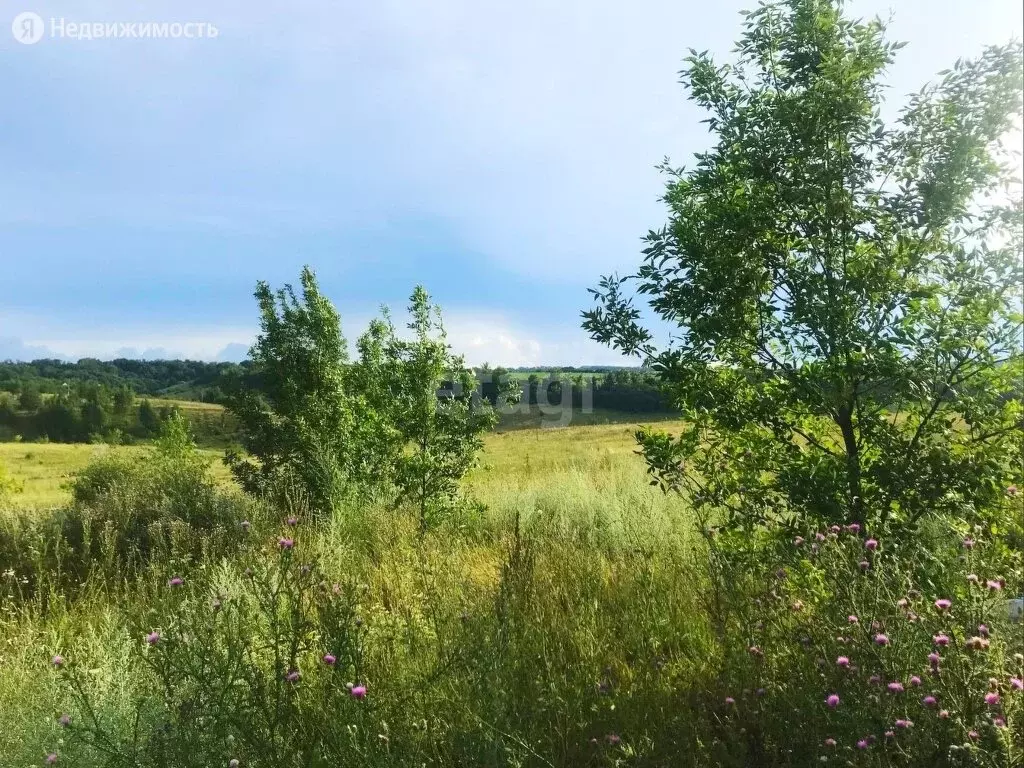 Купить Участок В Октябрьском Районе