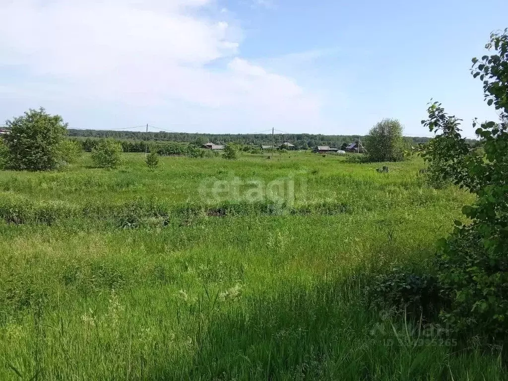 Участок в Свердловская область, Слободо-Туринский район, ... - Фото 2