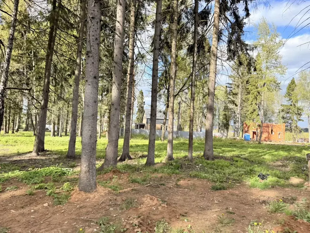 Участок 8 сот. (СНТ, ДНП) - Фото 0