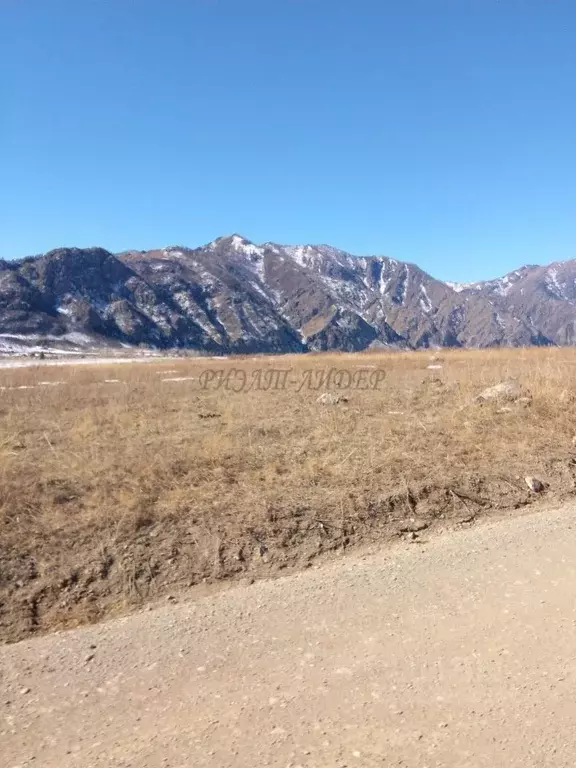 Участок в Алтай, Чемальский район, с. Анос Центральная ул., 41 (10.0 ... - Фото 2