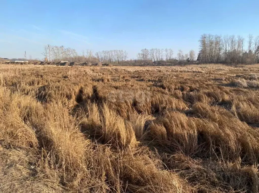 Участок в Амурская область, Благовещенск 5-я Стройка мкр, ул. ... - Фото 1