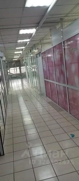 Помещение свободного назначения в Иркутская область, Черемхово ул. ... - Фото 2