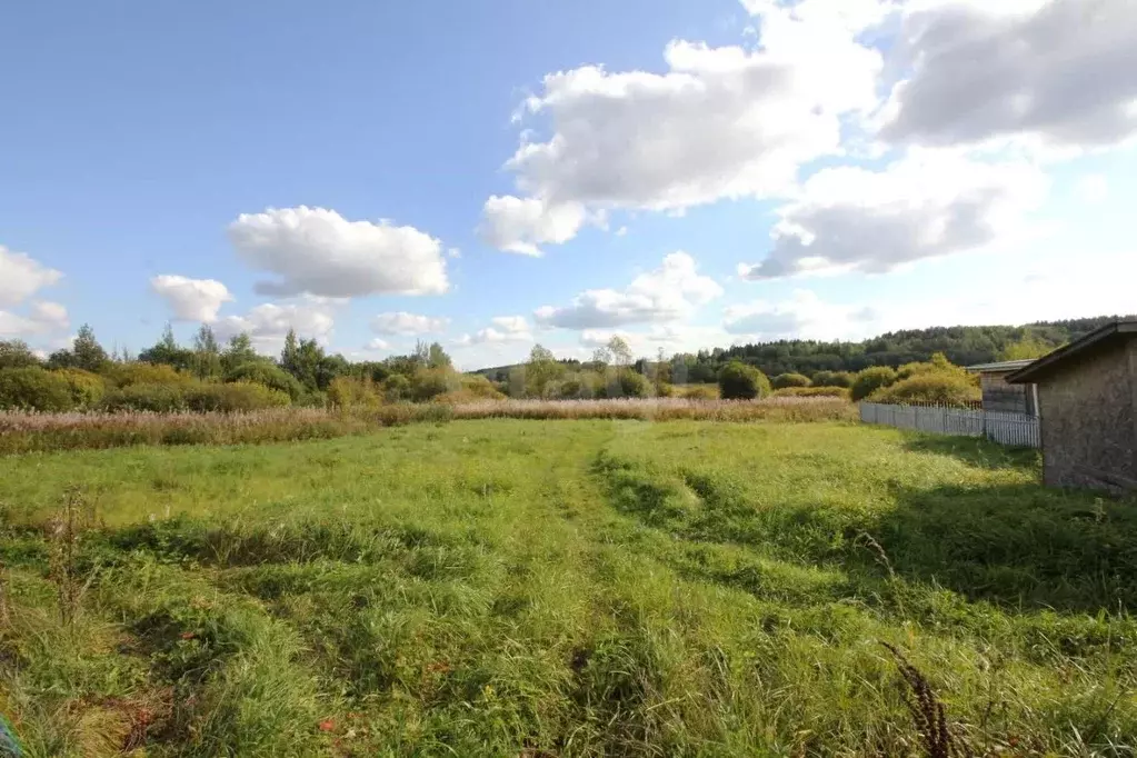Участок в Вологодская область, Шекснинский муниципальный округ, д. ... - Фото 1