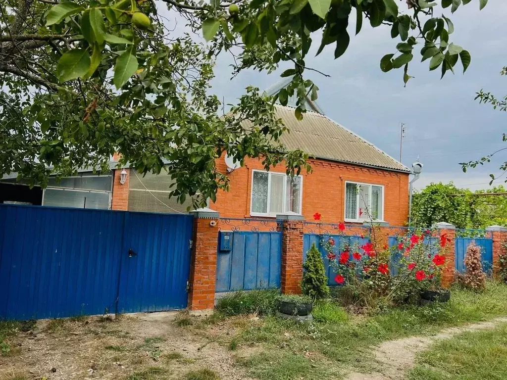 Дом в Краснодарский край, Славянский район, Анастасиевское с/пос, ... - Фото 1