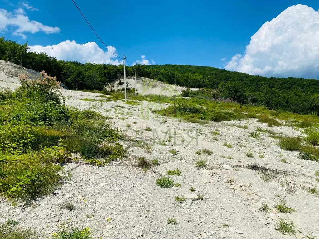 Участок в Краснодарский край, Геленджик городской округ, с. ... - Фото 1