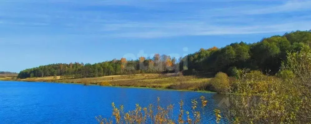 Участок в Калужская область, Жуков ул. Рябиновая, 11 (10.0 сот.) - Фото 1