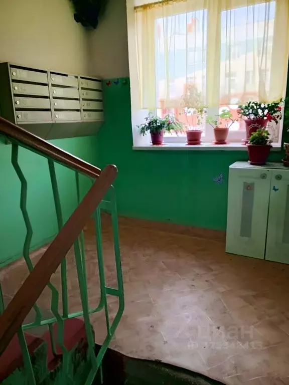 Комната Саратовская область, Саратов просп. Энтузиастов, 64 (20.0 м) - Фото 1