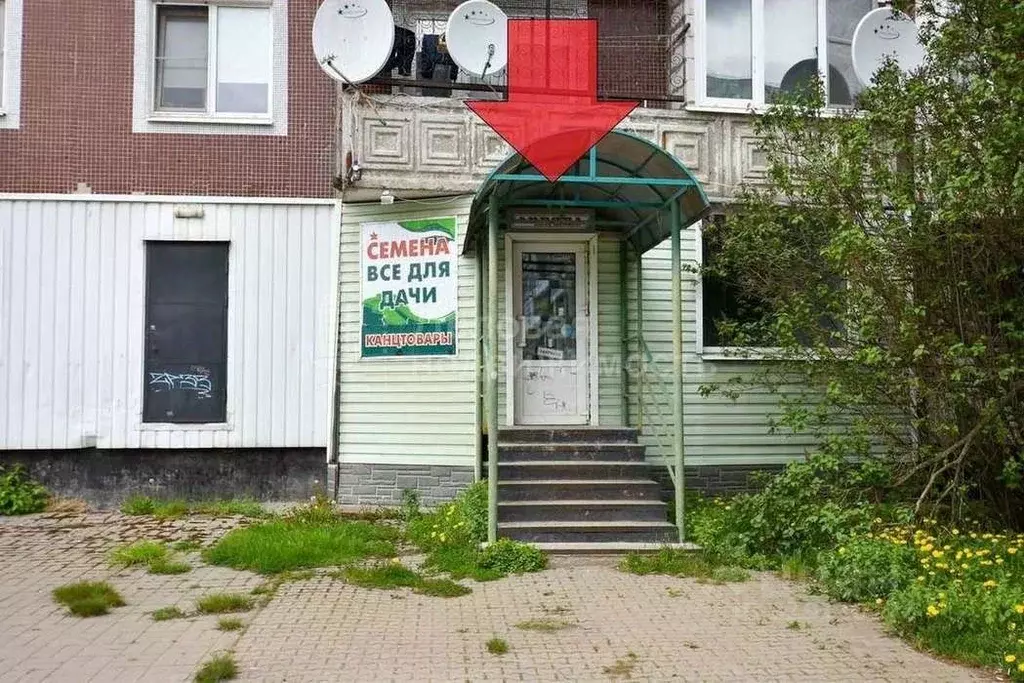 Помещение свободного назначения в Новгородская область, Великий ... - Фото 1