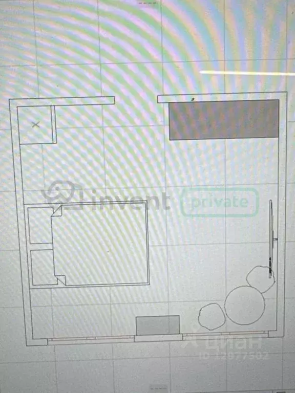 Студия Калининградская область, Калининград Красная ул., 137 (23.6 м) - Фото 2