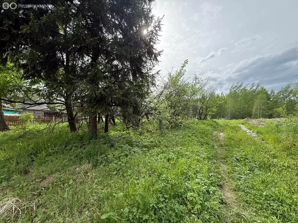 Участок в Новгородская область, Валдайское городское поселение, село ... - Фото 1
