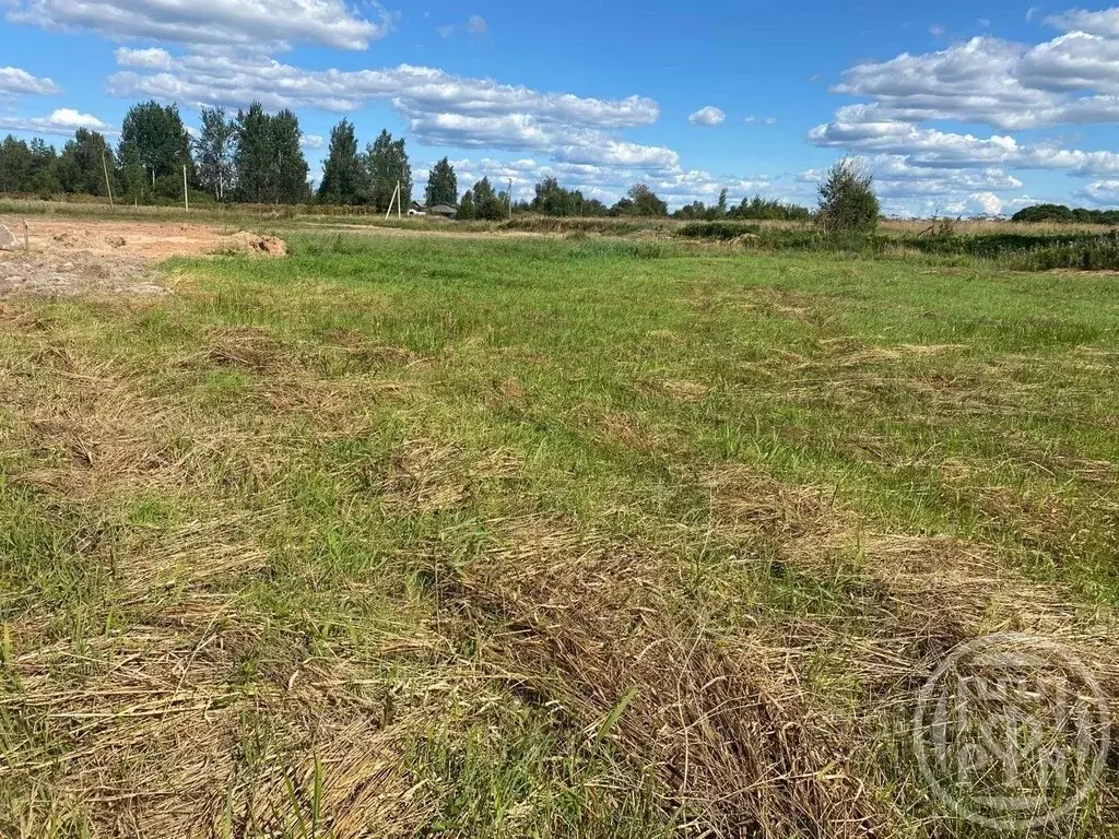 Участок в Ленинградская область, Лужский район, Скребловское с/пос, д. ... - Фото 1