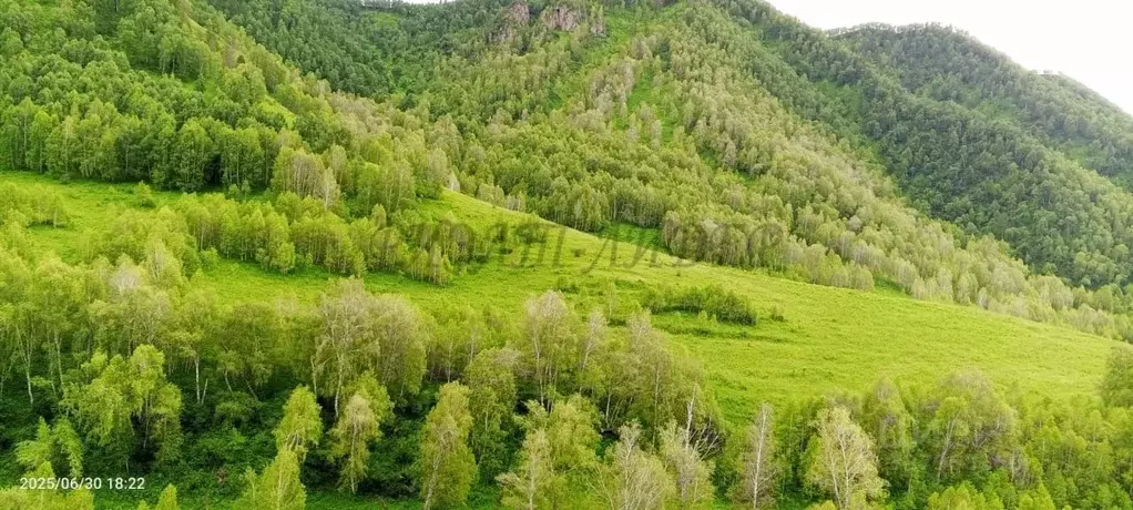 Участок в Алтай, Чемальский район, с. Куюс Центральная ул. (15.0 сот.) - Фото 2