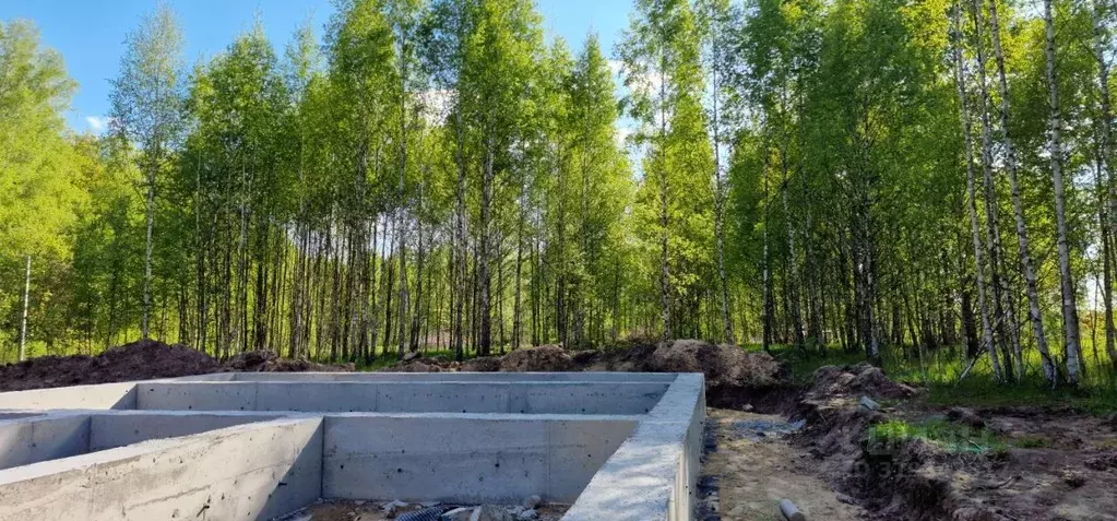 Участок в Татарстан, Лаишевский район, с. Сокуры, Новые Сокуры- 3 кп  ... - Фото 1