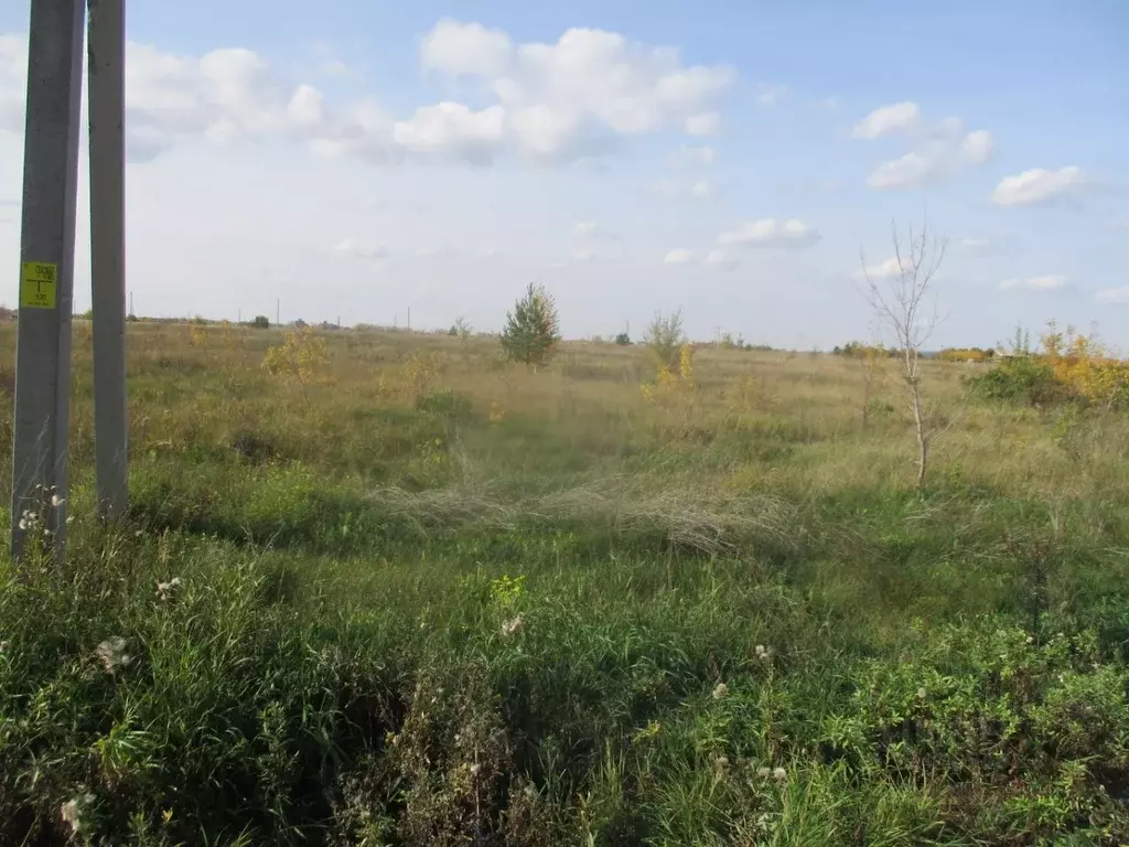Участок в Челябинская область, Еткульский муниципальный округ, пос. ... - Фото 0