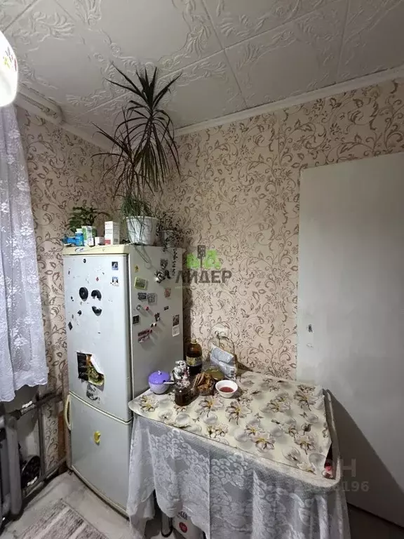 1-к кв. Башкортостан, Калтасинский район, Краснохолмский сельсовет, с. ... - Фото 2