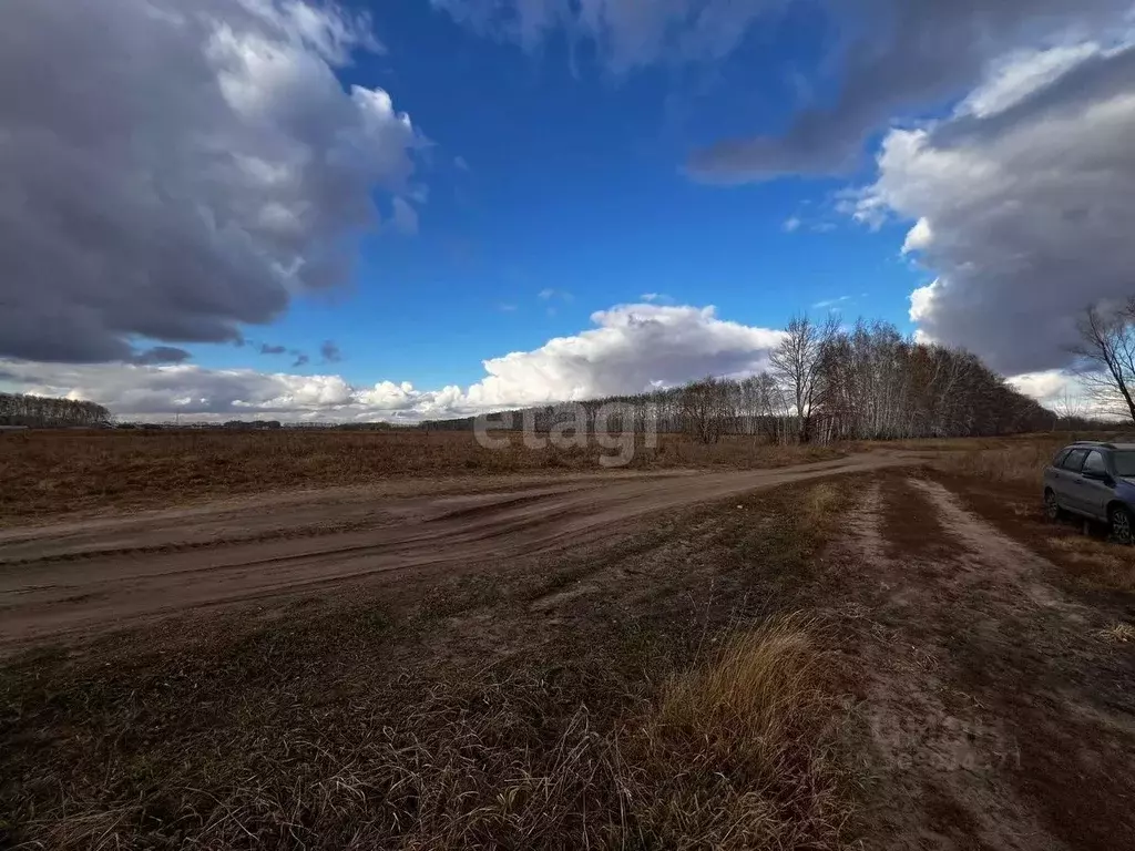 Участок в Омская область, Омский район, с. Усть-Заостровка Заозерная ... - Фото 1