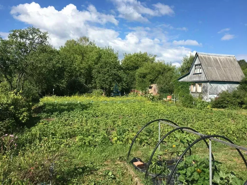 СНТ Овощевод. Пелгусово Ивановская область. Деревня Анкудиново Ивановская область.