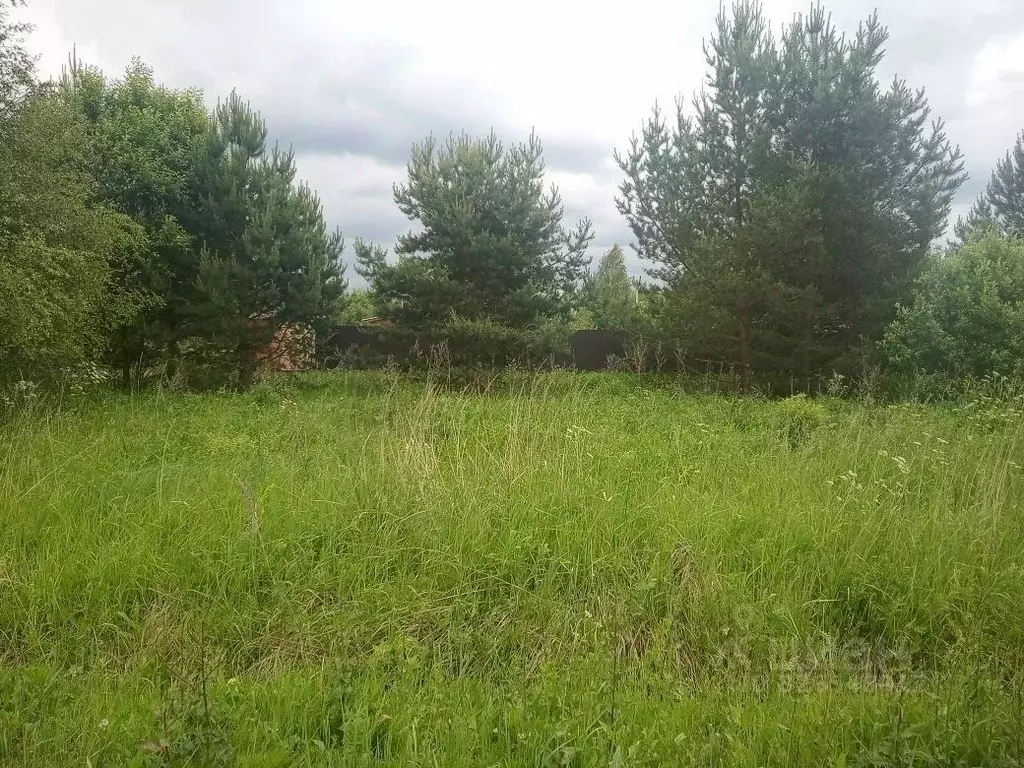 Участок в Московская область, Раменский муниципальный округ, д. ... - Фото 1