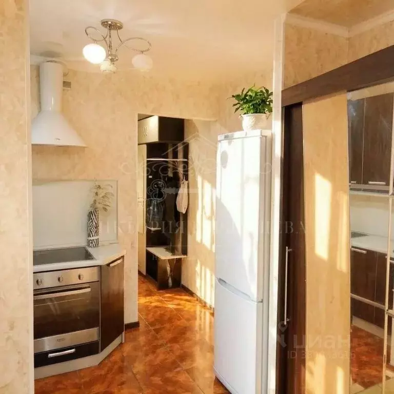 Студия Санкт-Петербург просп. Обуховской обороны, 138к2 (24.9 м) - Фото 2