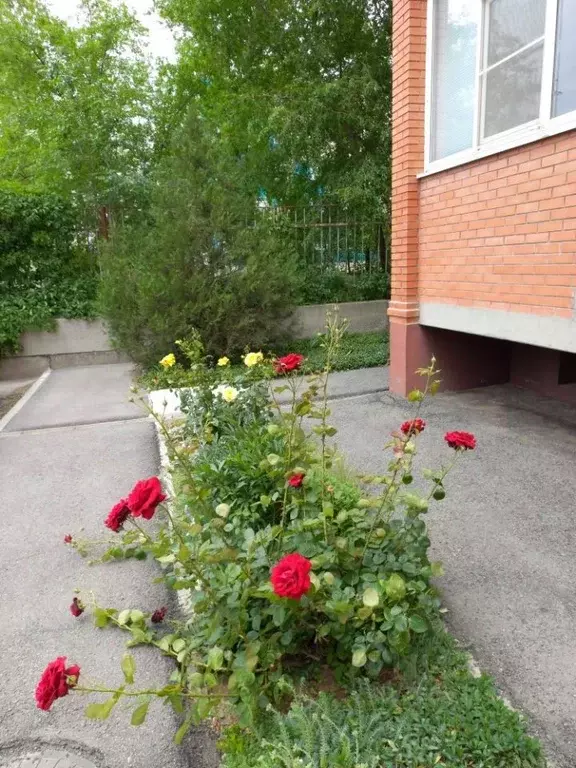 2-к кв. Ростовская область, Волгодонск ул. Гагарина, 1в (72.0 м) - Фото 2