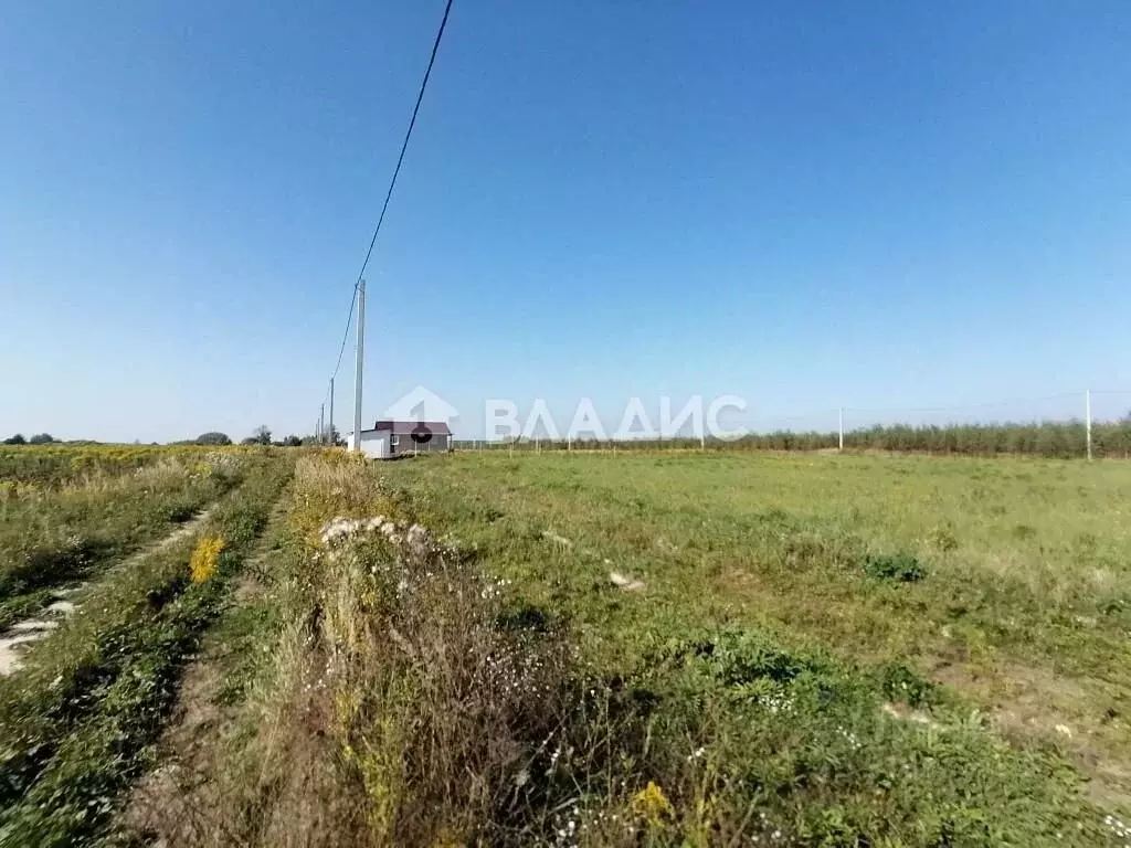 Участок в Владимирская область, Судогодский район, Головинское ... - Фото 1