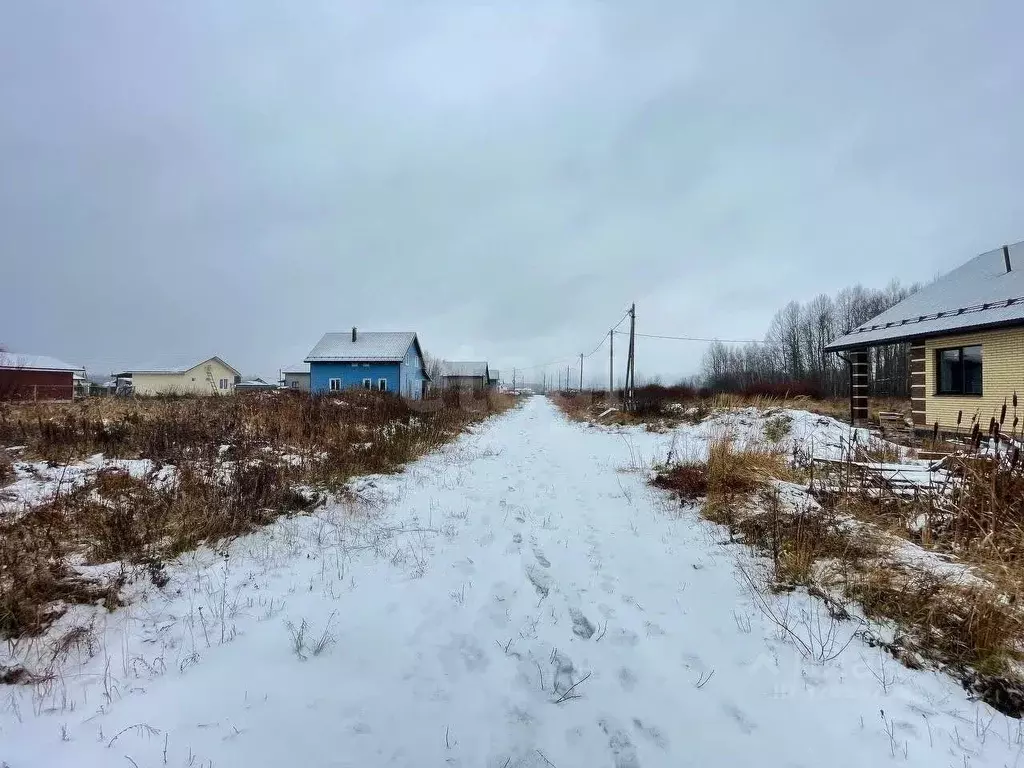 Участок в Ярославская область, Ярославский муниципальный округ, ... - Фото 1