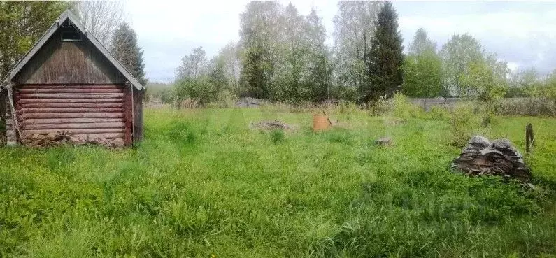 Участок в Вологодская область, Шекснинский район, Чебсарское с/пос  ... - Фото 0