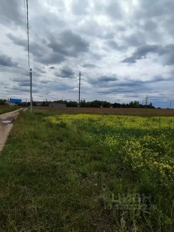 Участок в Курская область, Курский район, Камышинский сельсовет, д. ... - Фото 1