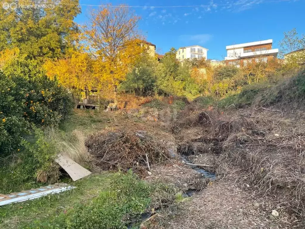 Участок в Краснодарский край, городской округ Сочи, село ... - Фото 1