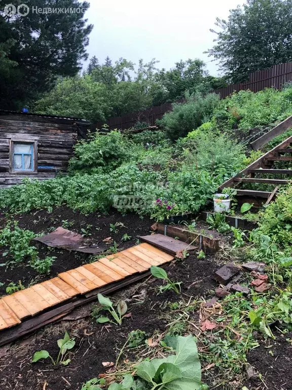 Дом в Томск, СНТ Кедр (30 м) - Фото 1