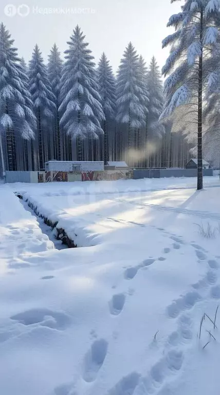 Участок в Ярославский муниципальный округ, ДНП Новые Сады-3, Луговая ... - Фото 1