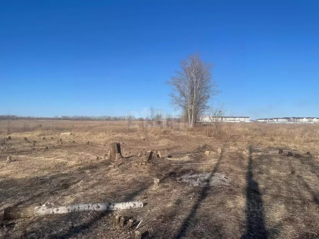 Участок в Владимирская область, Муром ул. Зарубина (8.58 сот.) - Фото 0