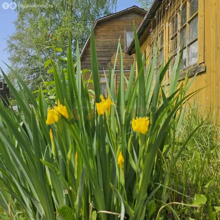 Дом в Рахьинское городское поселение, садоводческий массив Рахья, ... - Фото 1